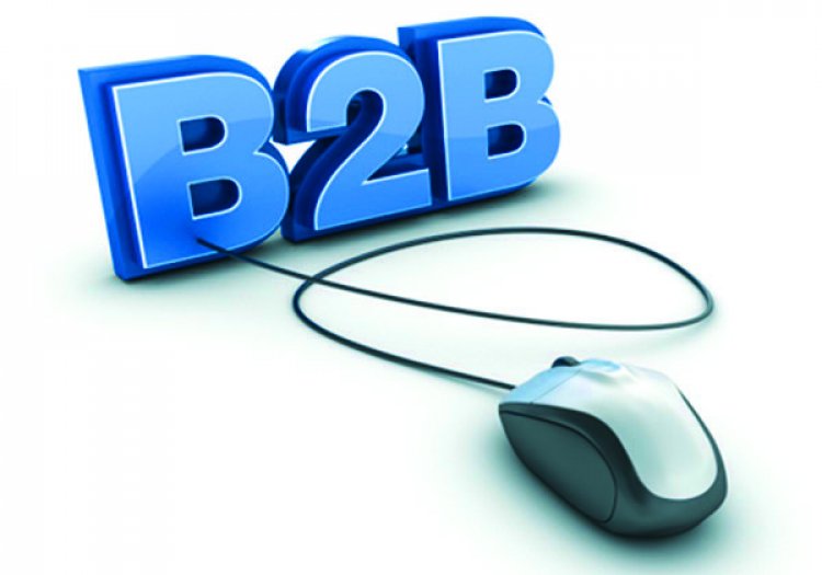 B2B e-Commerce in a B2C World